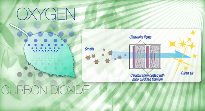 Photocatalystic Division-IMAGE