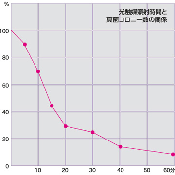 真菌に対する光触媒効果IMAGE2