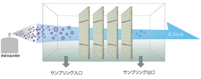 真菌に対する光触媒効果IMAGE3