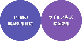 1年間の 脱臭効果維持