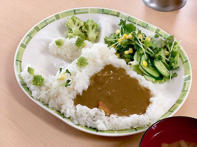 ダムカレー？