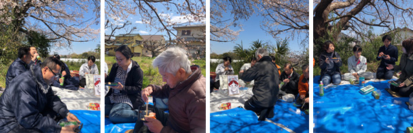 ４月恒例のお花見