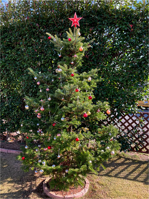 レナテックガーデンのクリスマスツリー全体