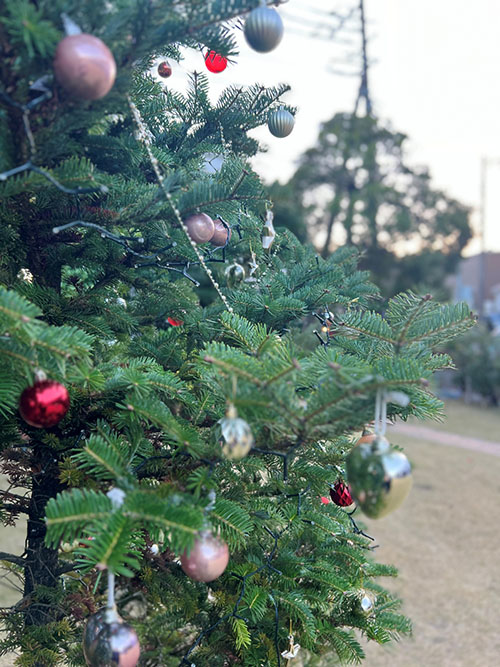 レナテックガーデンのクリスマスツリーアップ