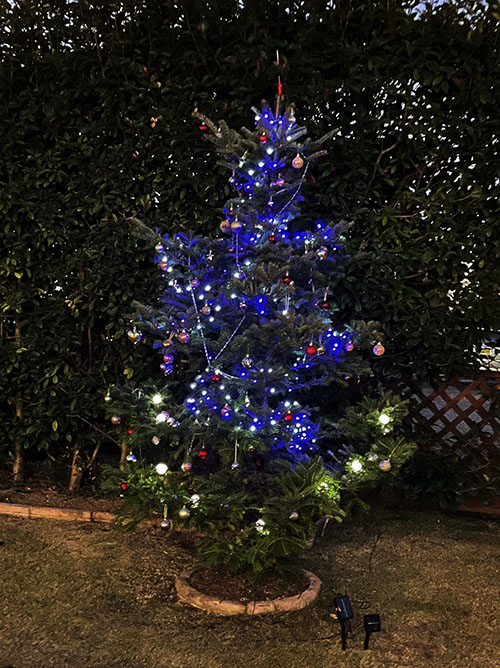レナテックガーデンのクリスマスツリー　ライトアップ